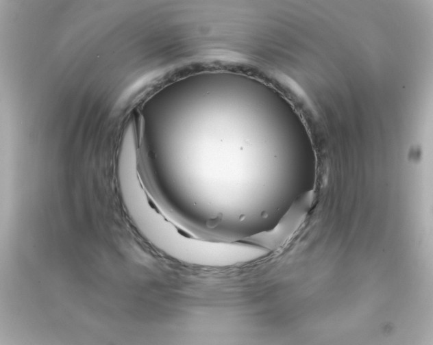 X0000090481112200708102150