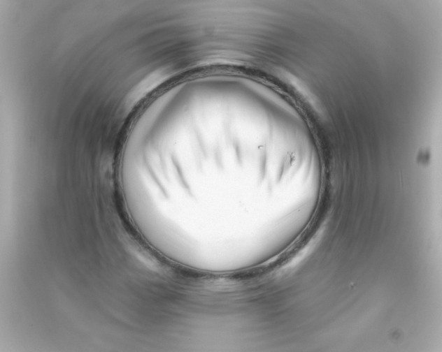 X0000090481113200708102150