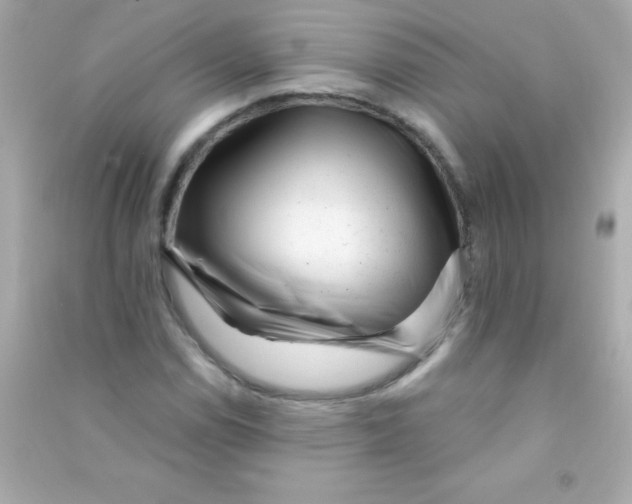 X0000090481114200708102150