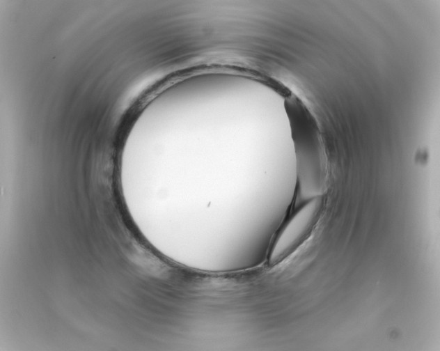 X0000090481115200708102150