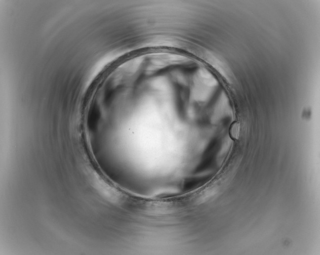 X0000090481116200708102150