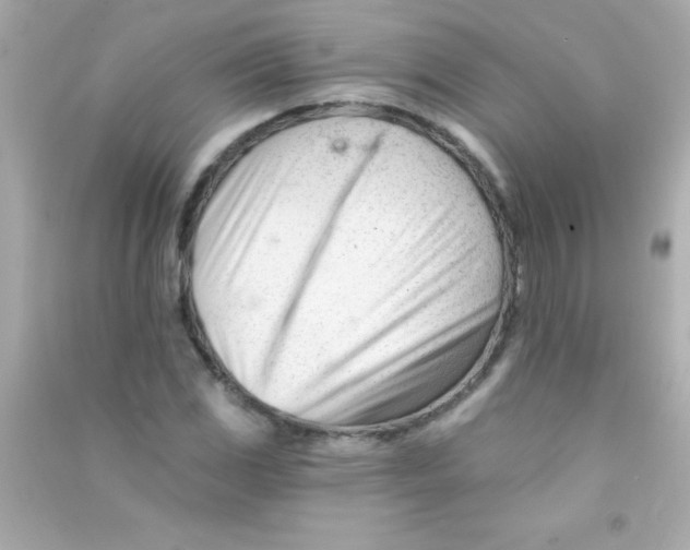 X0000090481117200708102150