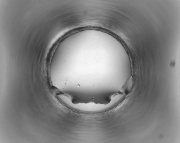 X0000090481118200708102150