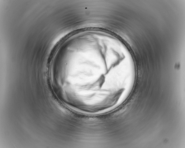 X0000090481119200708102150