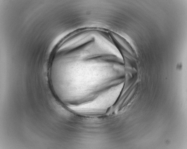 X0000090481120200708102150