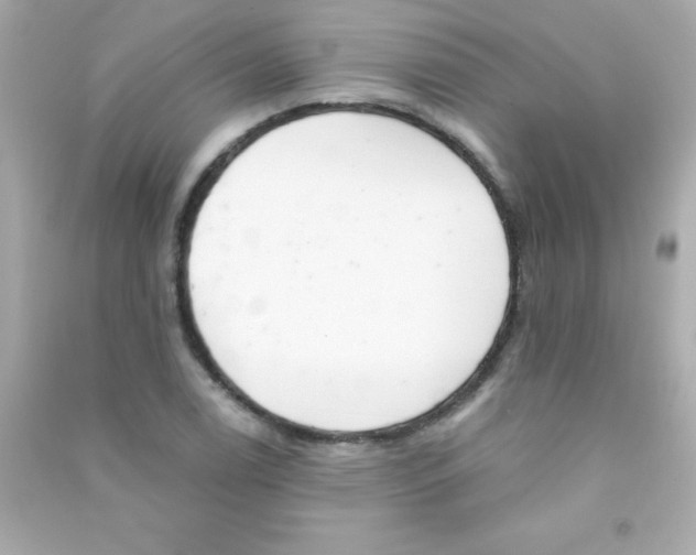 X0000090481122200708102150