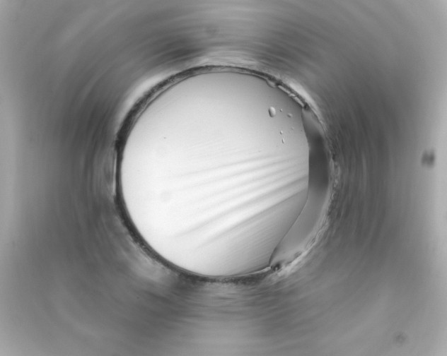 X0000090481123200708102150