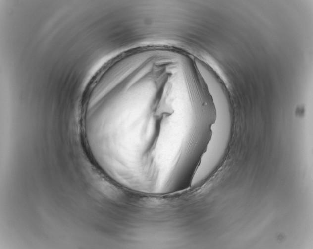 X0000090481124200708102150