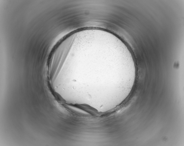 X0000090481125200708102150