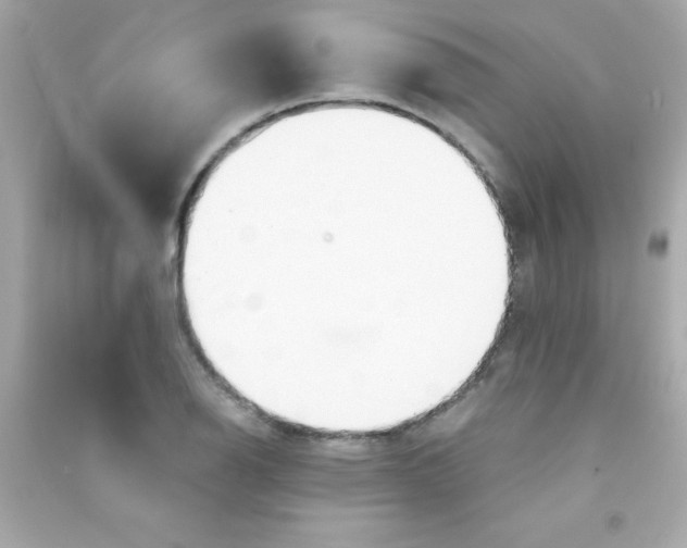 X0000090481126200708102150