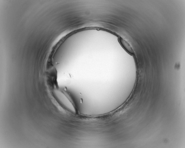 X0000090481127200708102150