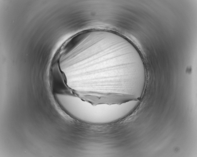 X0000090481128200708102150