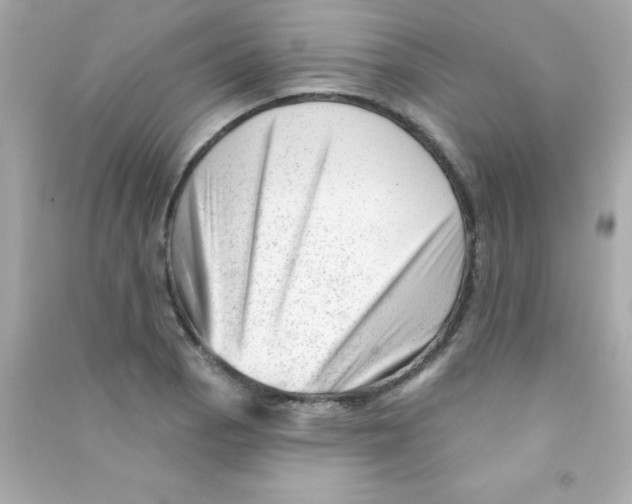 X0000090481129200708102150