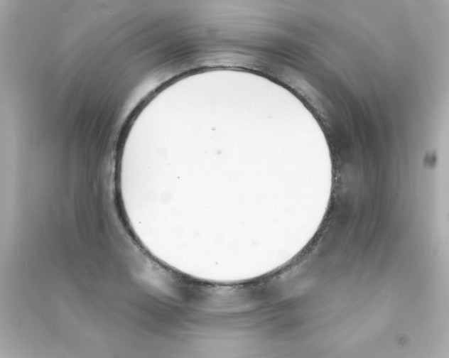 X0000090481130200708102150
