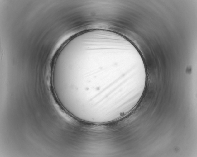 X0000090481131200708102150