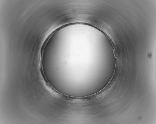 X0000090481132200708102150