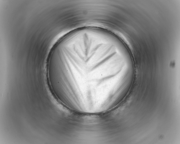 X0000090481133200708102150