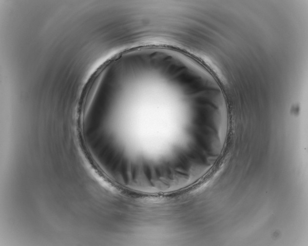 X0000090481134200708102150
