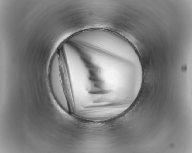 X0000090481135200708102150
