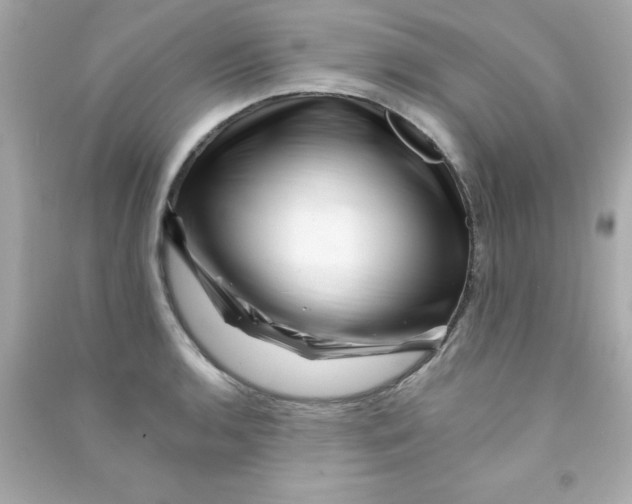 X0000090481136200708102150