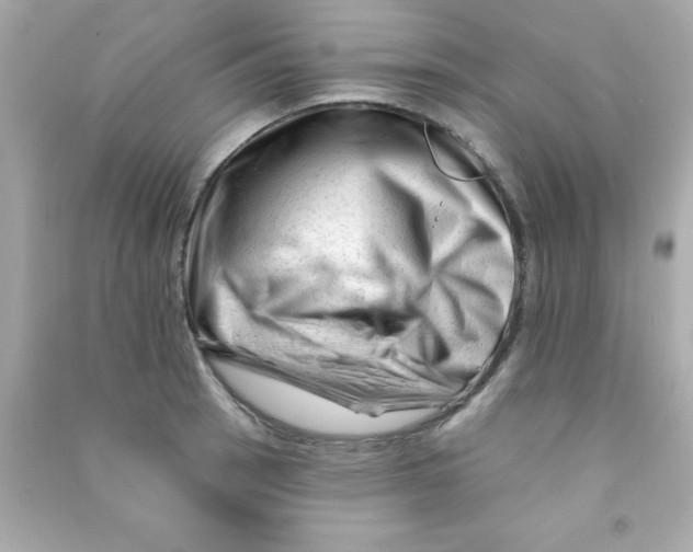 X0000090481137200708102150