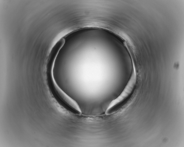 X0000090481138200708102151