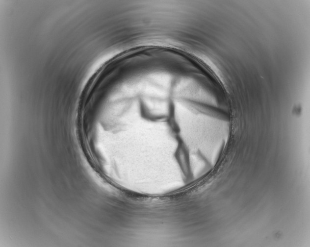 X0000090481139200708102151