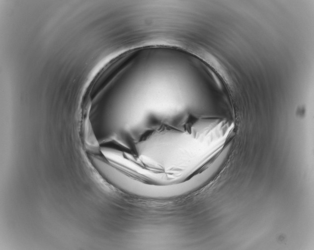 X0000090481140200708102151