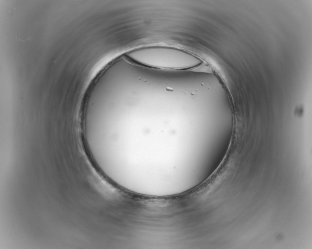 X0000090481141200708102151
