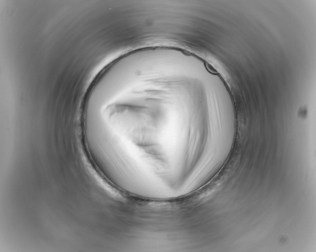 X0000090481142200708102151