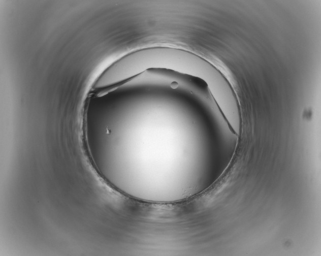 X0000090481144200708102151