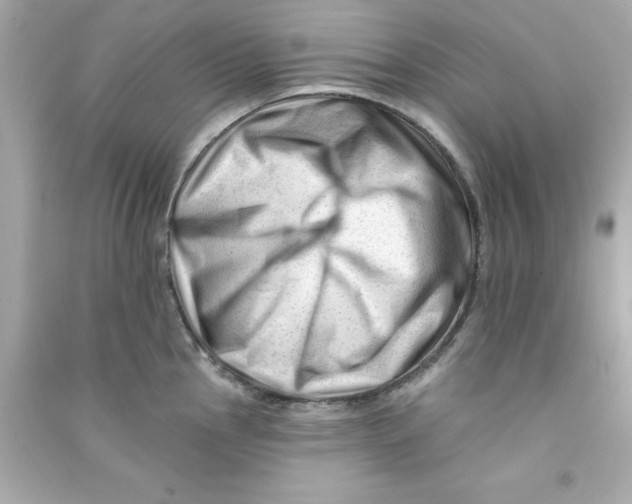 X0000090481145200708102151