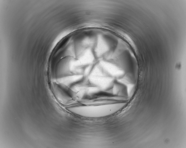 X0000090481146200708102151