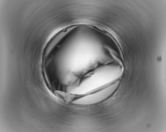 X0000090481147200708102151