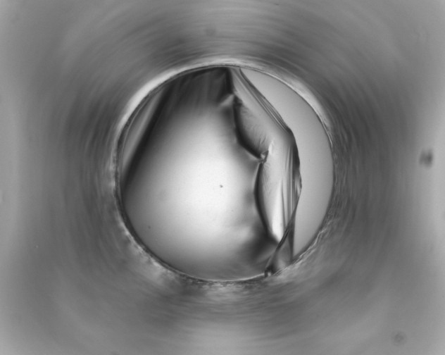 X0000090481148200708102151