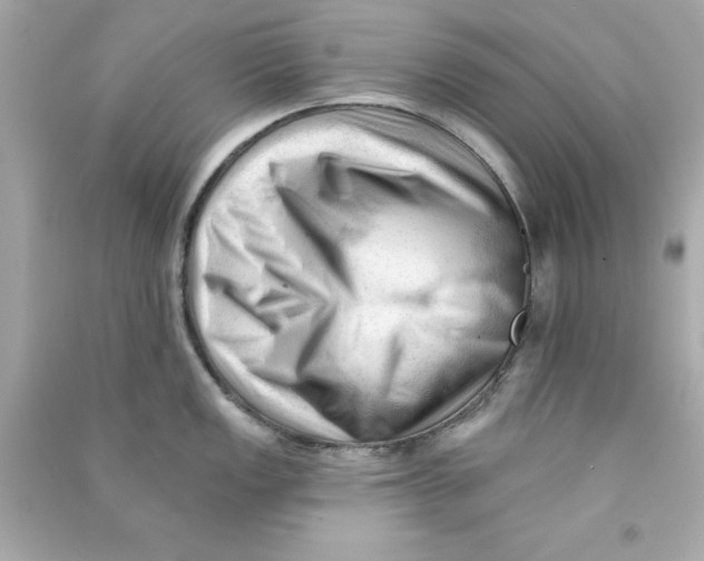 X0000090481149200708102151