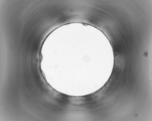 X0000090481150200708102151