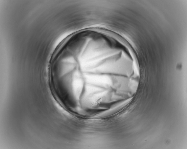 X0000090481151200708102151