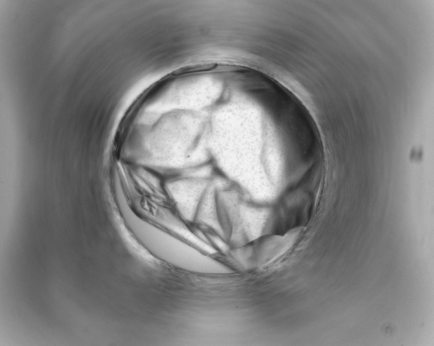 X0000090481152200708102151