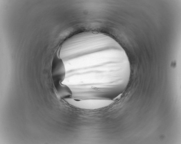 X0000090481153200708102150