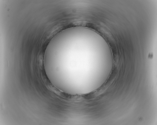 X0000090481154200708102150