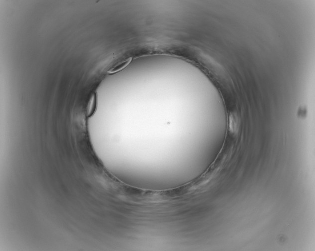 X0000090481155200708102150