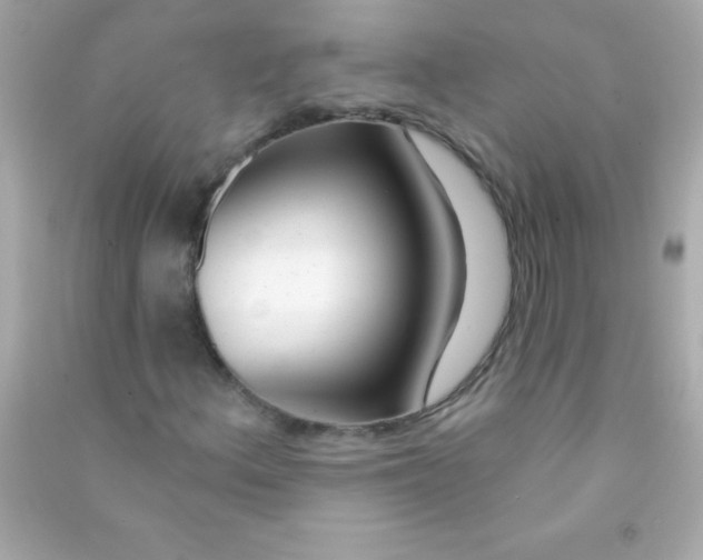 X0000090481156200708102150