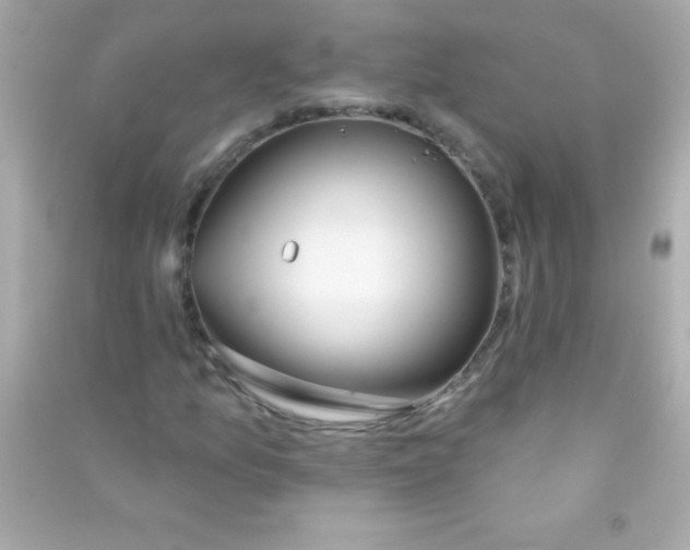 X0000090481157200708102150