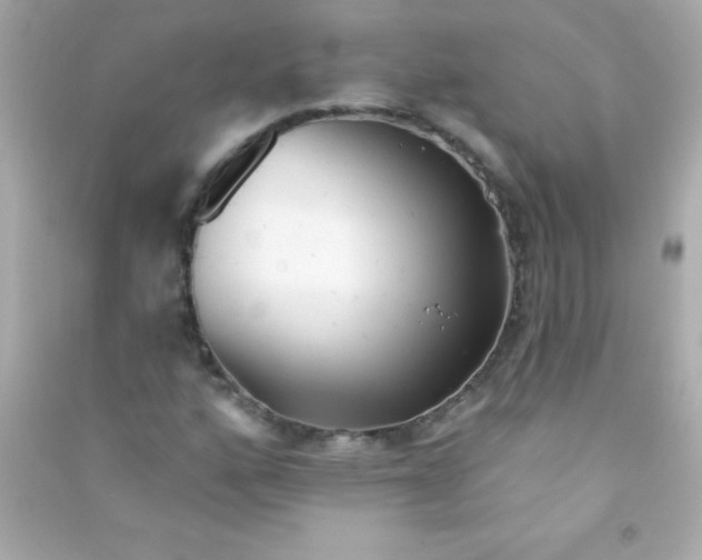 X0000090481160200708102150