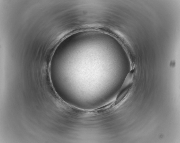 X0000090481161200708102150