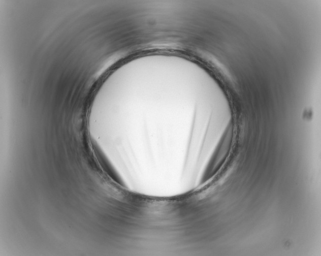 X0000090481162200708102150
