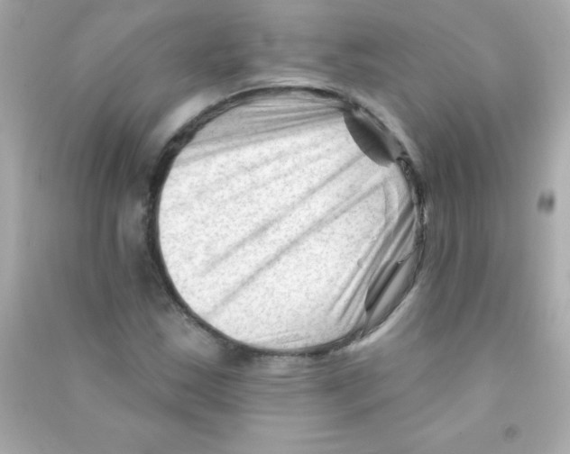 X0000090481163200708102150