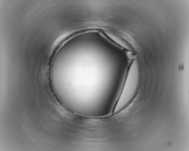 X0000090481164200708102150