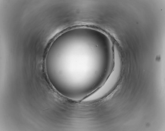 X0000090481165200708102150
